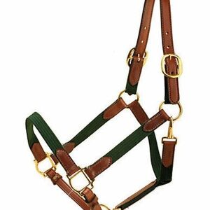 Nylon and Leather Horse Halter & matching lead rope